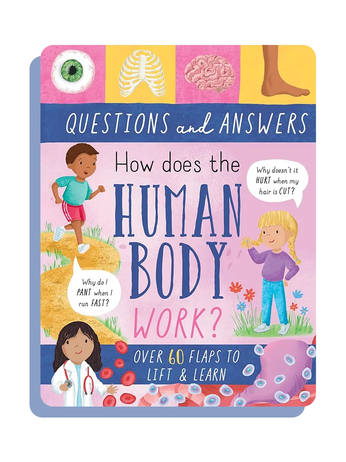 Questions and Answers: How does the Human Body Work?